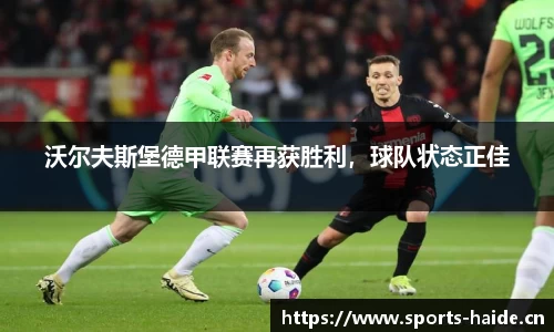 海德体育官方网站