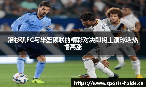 海德体育官方网站