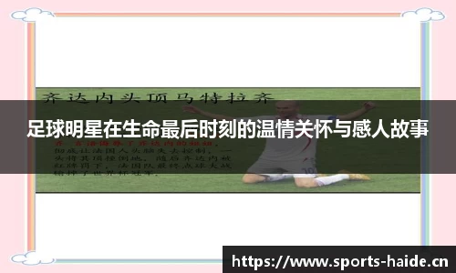 海德体育官方网站