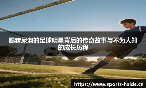 海德体育官方网站